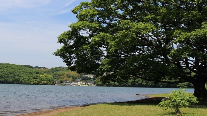 【当日割】お得にフラっと温泉旅！気の向くままに伊豆高原の自然を満喫＜素泊まり＞